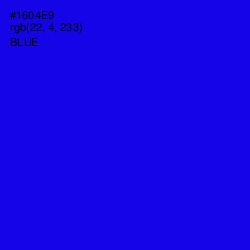 #1604E9 - Blue Color Image