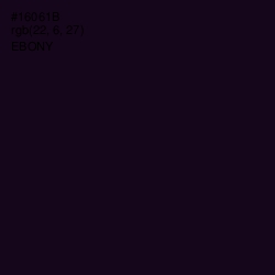 #16061B - Ebony Color Image