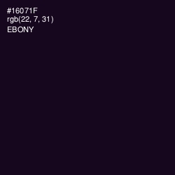 #16071F - Ebony Color Image