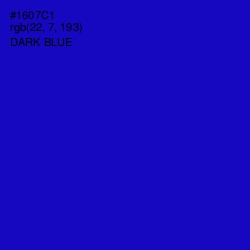 #1607C1 - Dark Blue Color Image