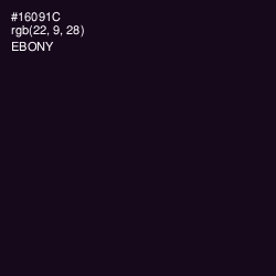 #16091C - Ebony Color Image