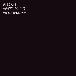 #160A11 - Woodsmoke Color Image