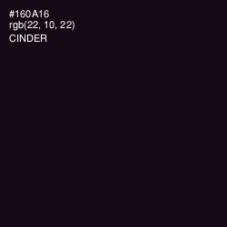 #160A16 - Cinder Color Image