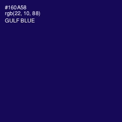 #160A58 - Gulf Blue Color Image