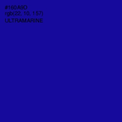 #160A9D - Ultramarine Color Image