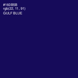 #160B5B - Gulf Blue Color Image