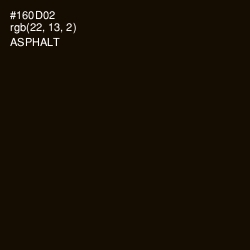 #160D02 - Asphalt Color Image