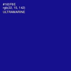 #160F8E - Ultramarine Color Image