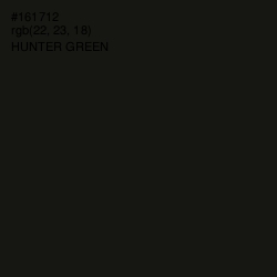 #161712 - Hunter Green Color Image