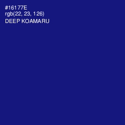 #16177E - Deep Koamaru Color Image