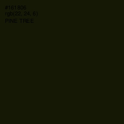 #161806 - Pine Tree Color Image