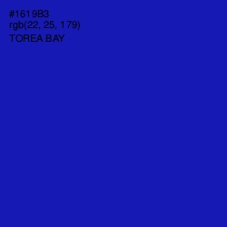 #1619B3 - Torea Bay Color Image