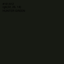 #161A12 - Hunter Green Color Image