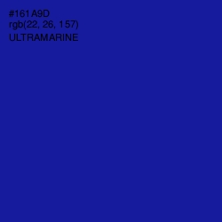 #161A9D - Ultramarine Color Image