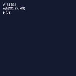 #161B31 - Haiti Color Image