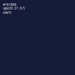 #161B39 - Haiti Color Image