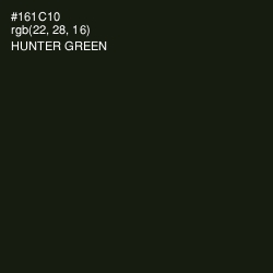 #161C10 - Hunter Green Color Image