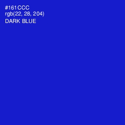 #161CCC - Dark Blue Color Image