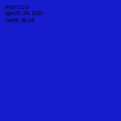 #161CCD - Dark Blue Color Image