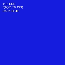 #161CDD - Dark Blue Color Image