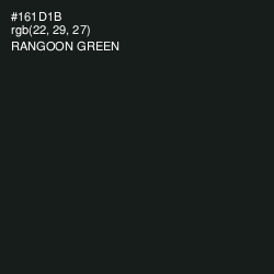#161D1B - Rangoon Green Color Image