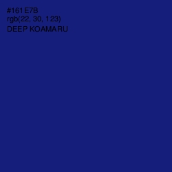 #161E7B - Deep Koamaru Color Image