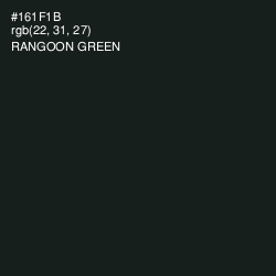 #161F1B - Rangoon Green Color Image