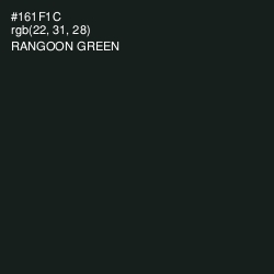 #161F1C - Rangoon Green Color Image