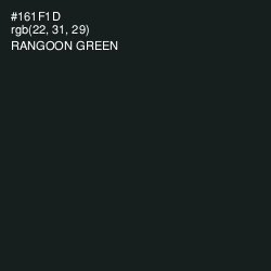 #161F1D - Rangoon Green Color Image