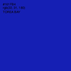 #161FB4 - Torea Bay Color Image