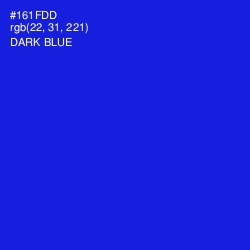 #161FDD - Dark Blue Color Image
