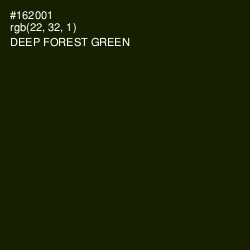 #162001 - Deep Forest Green Color Image