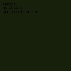 #16200A - Deep Forest Green Color Image