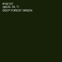 #162107 - Deep Forest Green Color Image