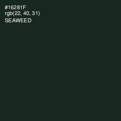 #16281F - Seaweed Color Image