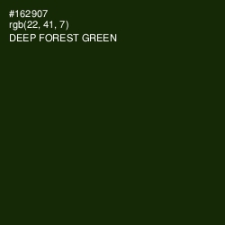#162907 - Deep Forest Green Color Image