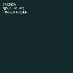 #16292A - Timber Green Color Image