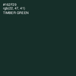 #162F29 - Timber Green Color Image