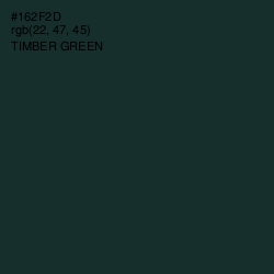 #162F2D - Timber Green Color Image