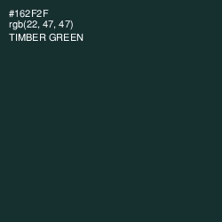 #162F2F - Timber Green Color Image