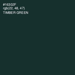 #16302F - Timber Green Color Image