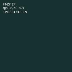 #16312F - Timber Green Color Image