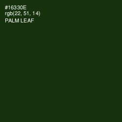 #16330E - Palm Leaf Color Image