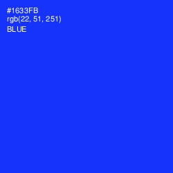 #1633FB - Blue Color Image