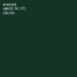 #163425 - Celtic Color Image