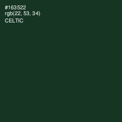 #163522 - Celtic Color Image