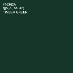 #16362A - Timber Green Color Image