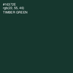 #16372E - Timber Green Color Image