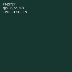 #16372F - Timber Green Color Image
