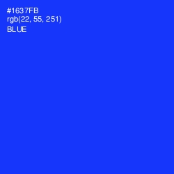 #1637FB - Blue Color Image